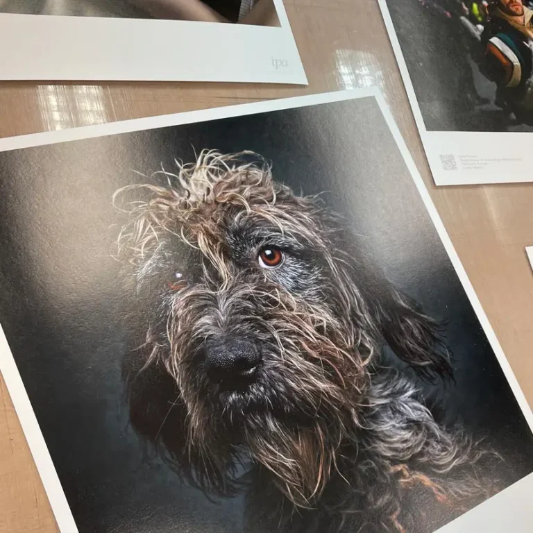 fine-art print Oslo – giclée på Hahnemühle