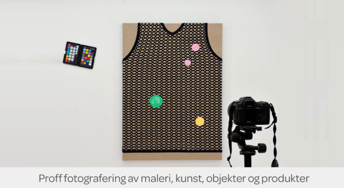 Fotografering av kunst