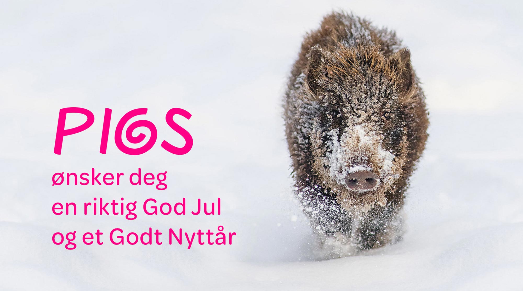 PIGS ønsker deg god jul!