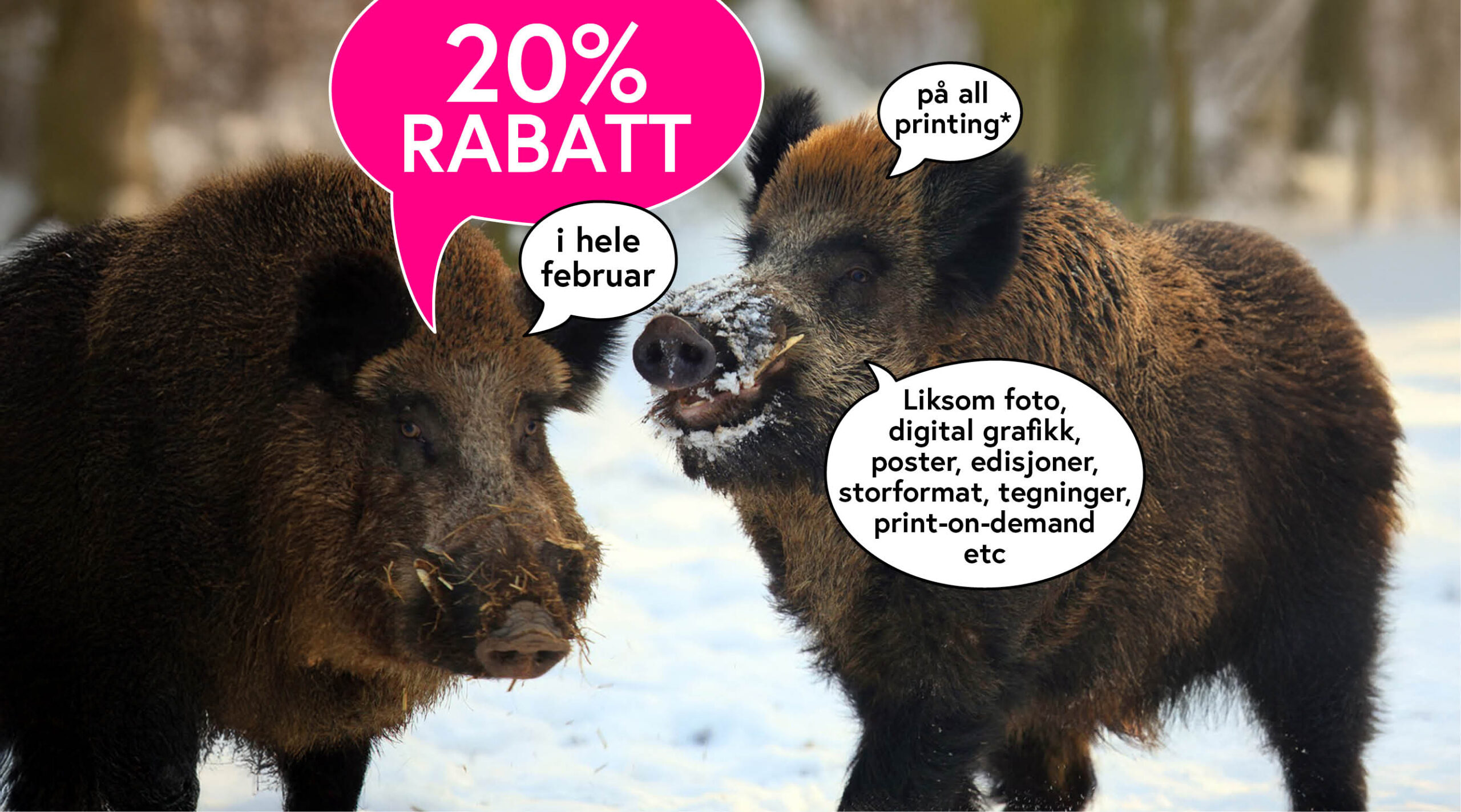 20% rabatt på all printing i februar